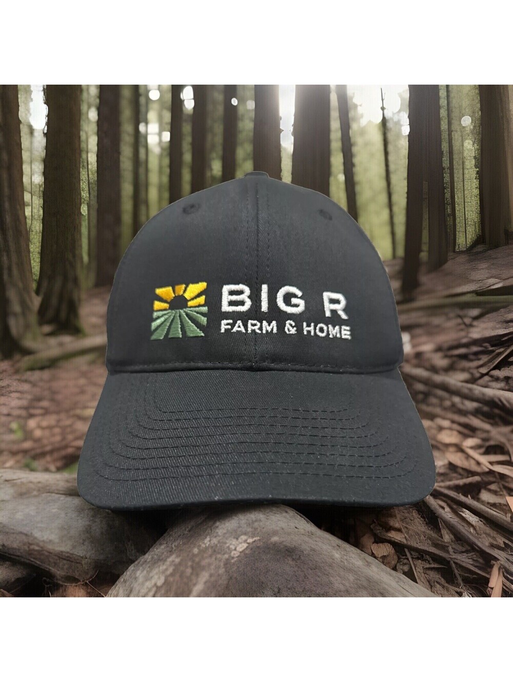 Big R Farm & Home Ranching Tractor Agriculture AG Cattle Black Baseball Cap